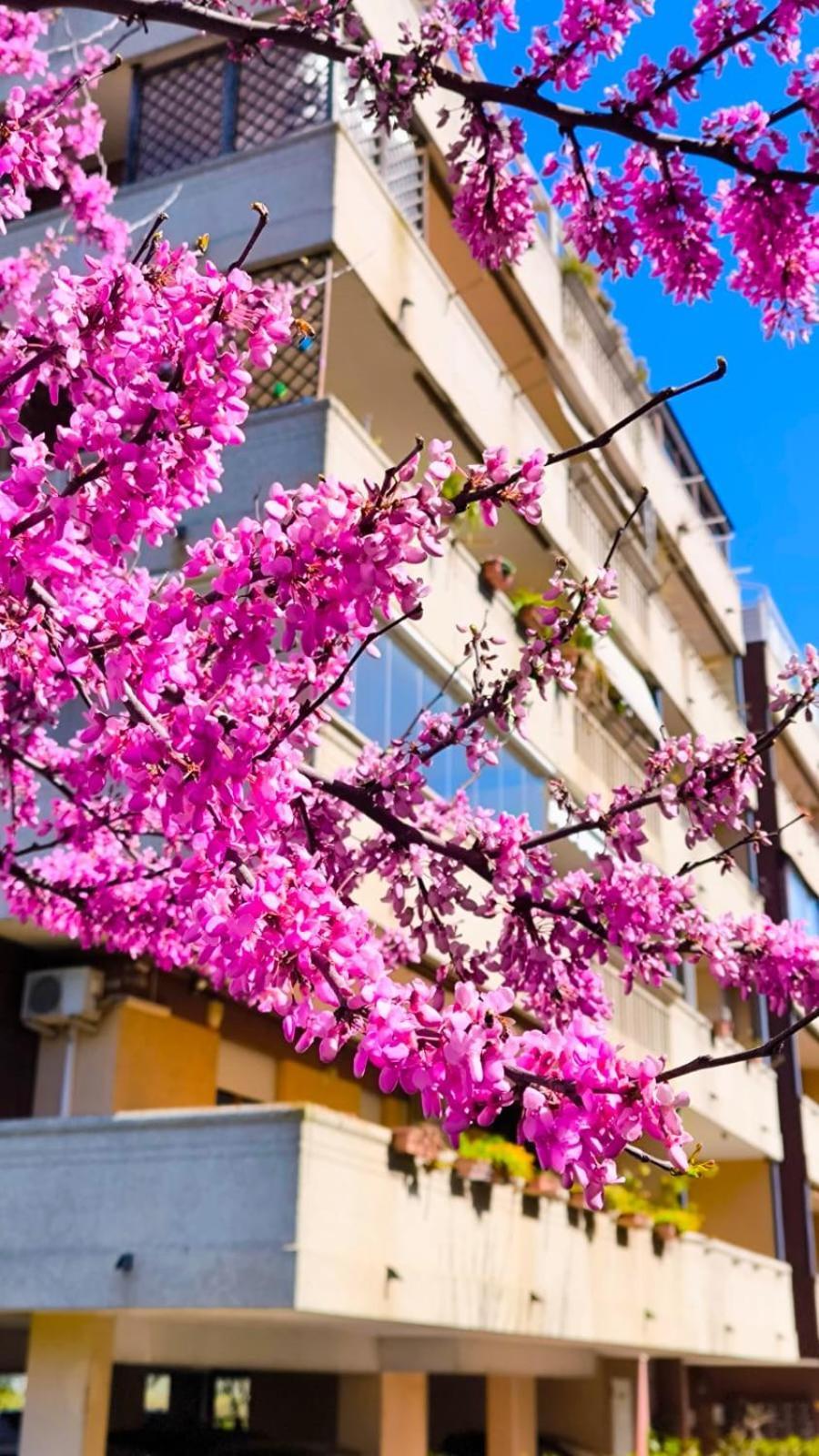 Rome Sweet Home Vitinia Экстерьер фото